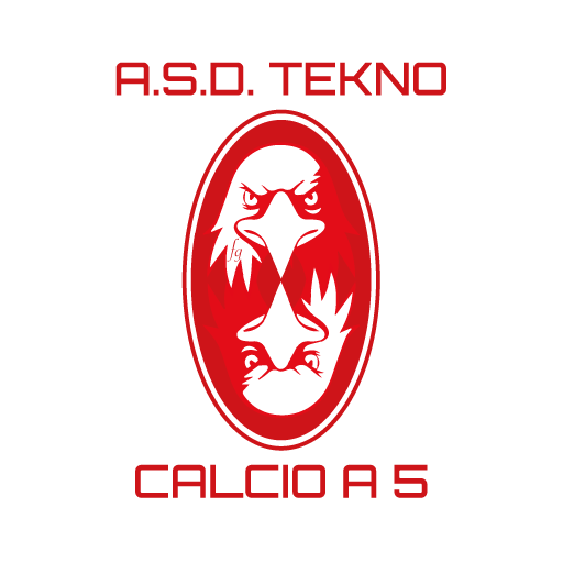 Teknoservicecalcioa5