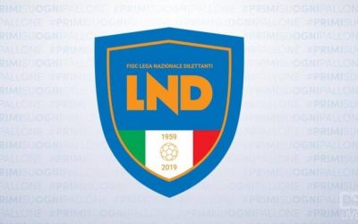FIGC SERIE D:PUBBLICATI I NUOVI GIRONI