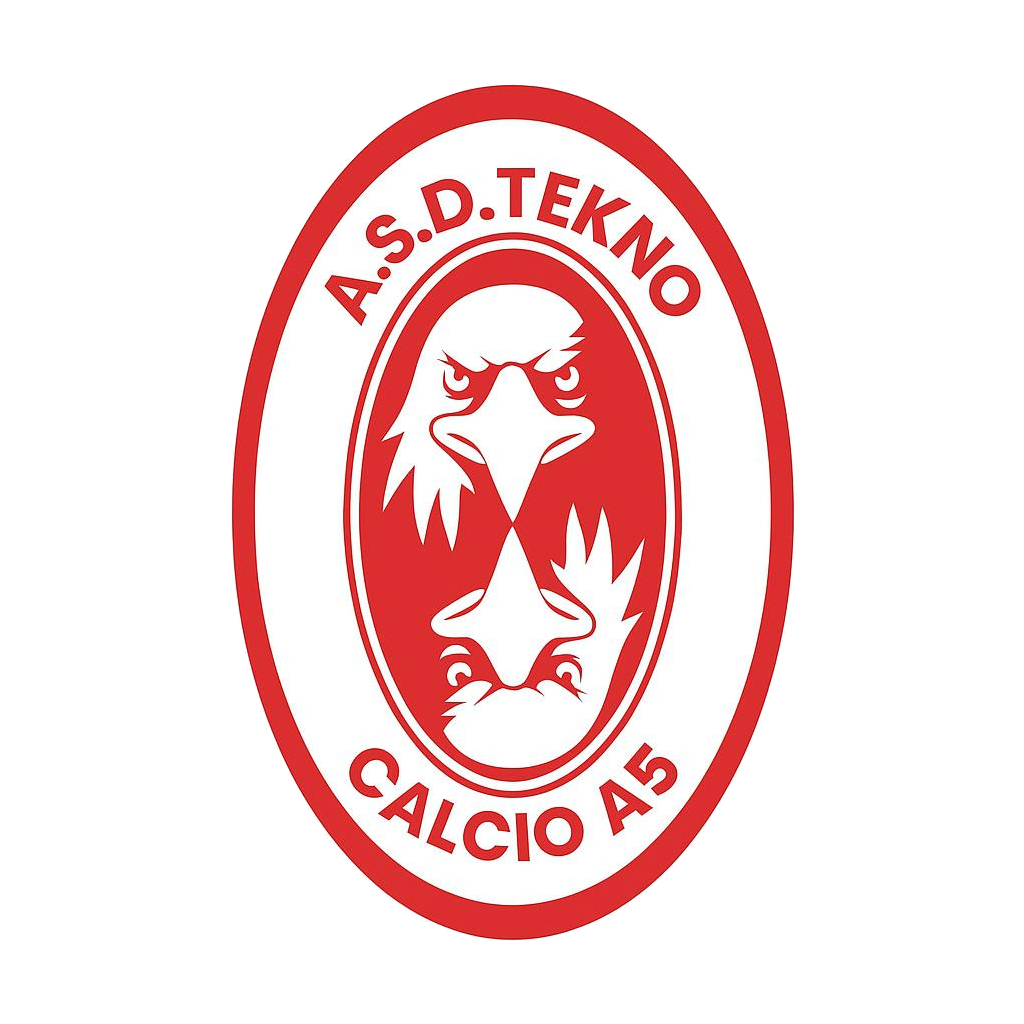 Teknoservicecalcioa5